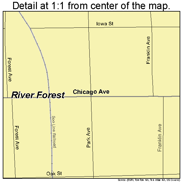 River Forest, Illinois road map detail