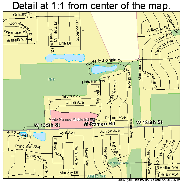 Romeoville, Illinois road map detail
