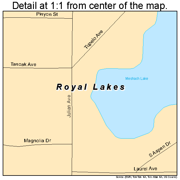 Royal Lakes, Illinois road map detail