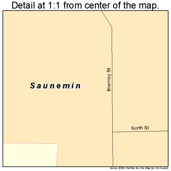Saunemin, Illinois road map detail