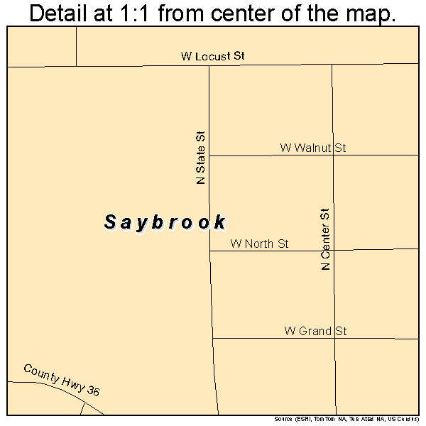 Saybrook, Illinois road map detail