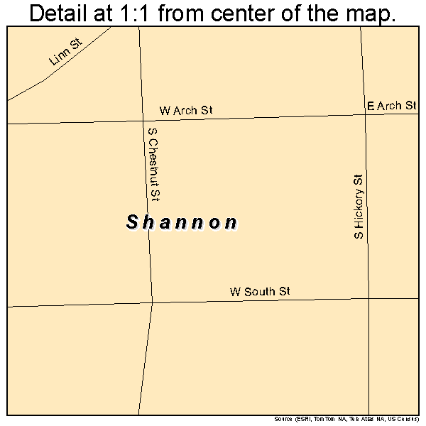 Shannon, Illinois road map detail