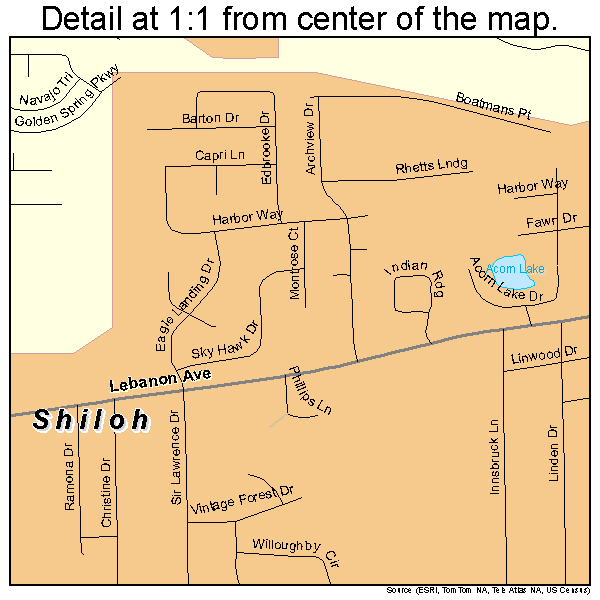 Shiloh, Illinois road map detail