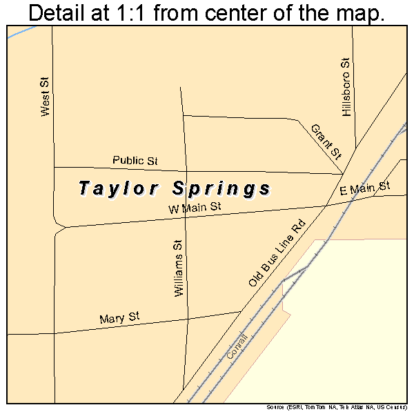 Taylor Springs, Illinois road map detail