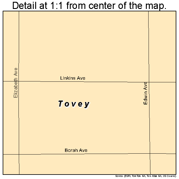 Tovey, Illinois road map detail