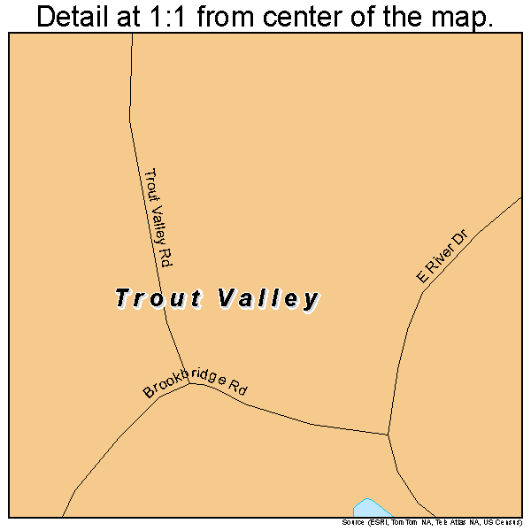 Trout Valley, Illinois road map detail