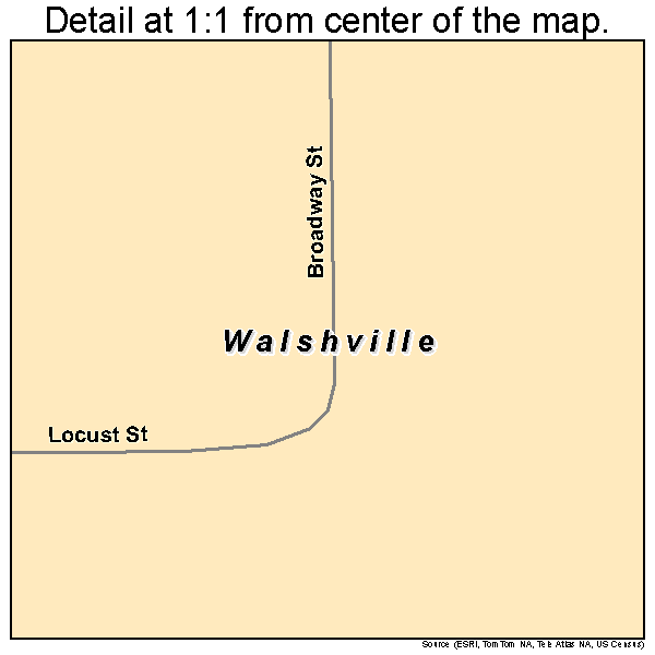 Walshville, Illinois road map detail