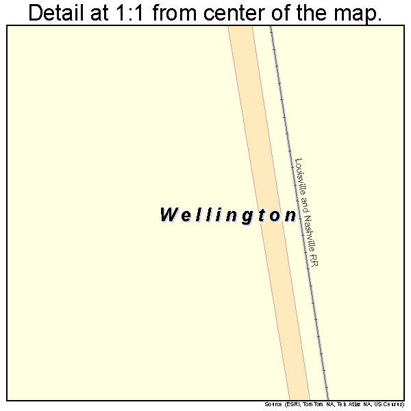 Wellington, Illinois road map detail