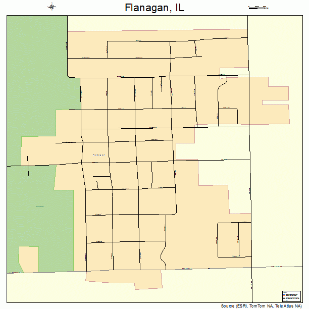 Flanagan, IL street map