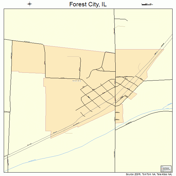 Forest City, IL street map