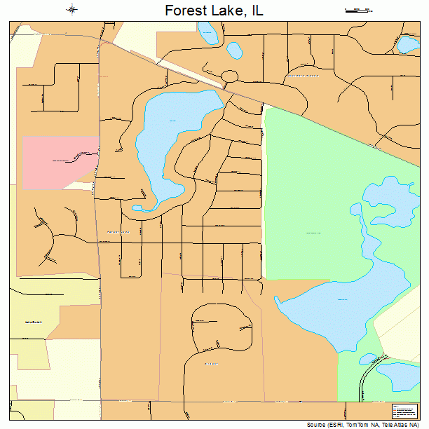 Forest Lake, IL street map