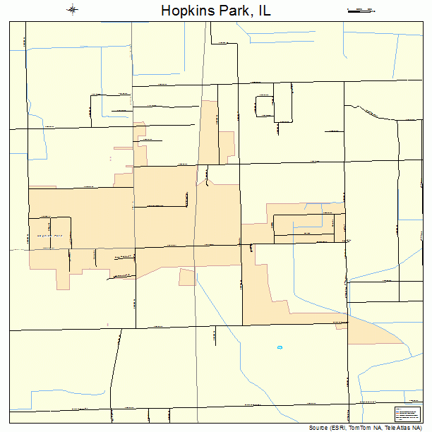 Hopkins Park, IL street map