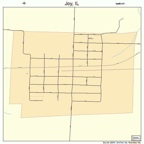 Joy, IL street map
