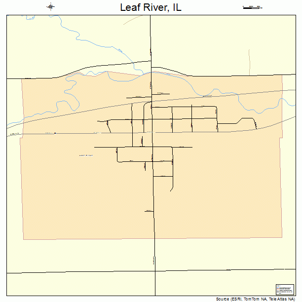 Leaf River, IL street map