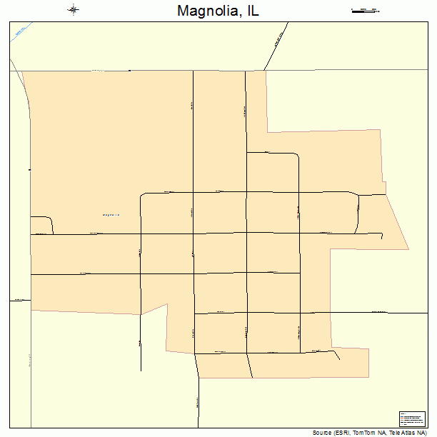 Magnolia, IL street map