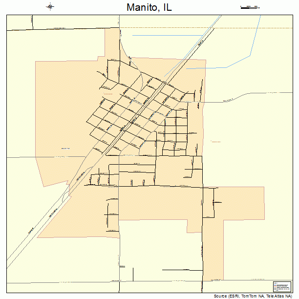 Manito, IL street map