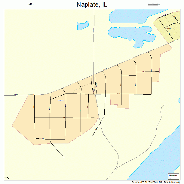 Naplate, IL street map