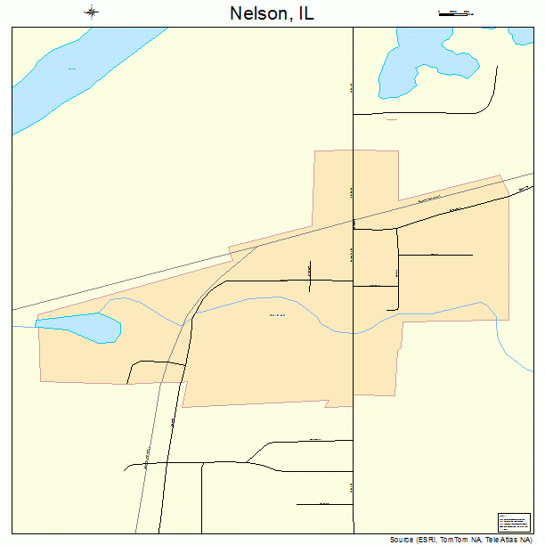 Nelson, IL street map