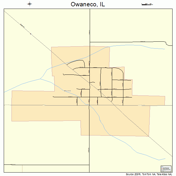 Owaneco, IL street map