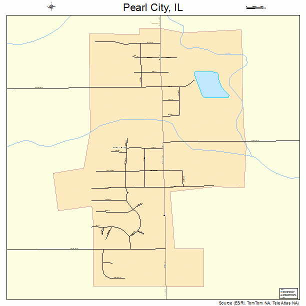 Pearl City, IL street map