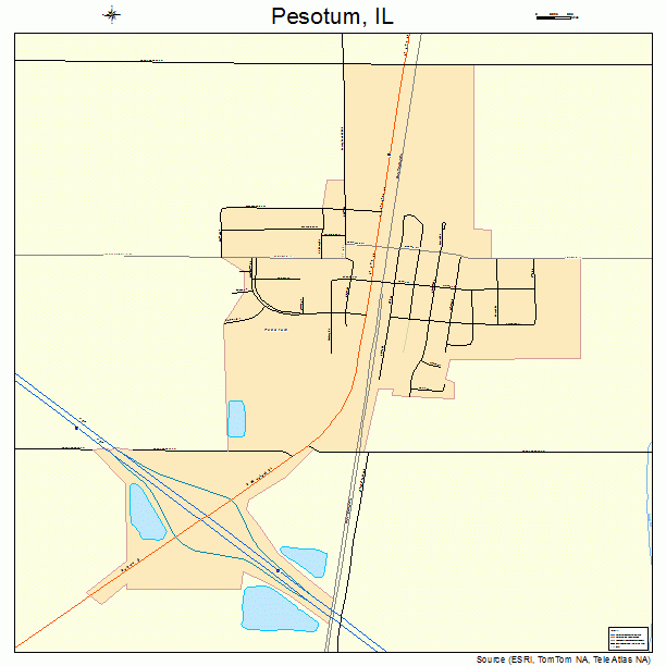 Pesotum, IL street map