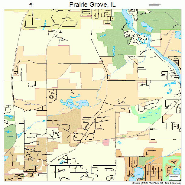 Prairie Grove, IL street map