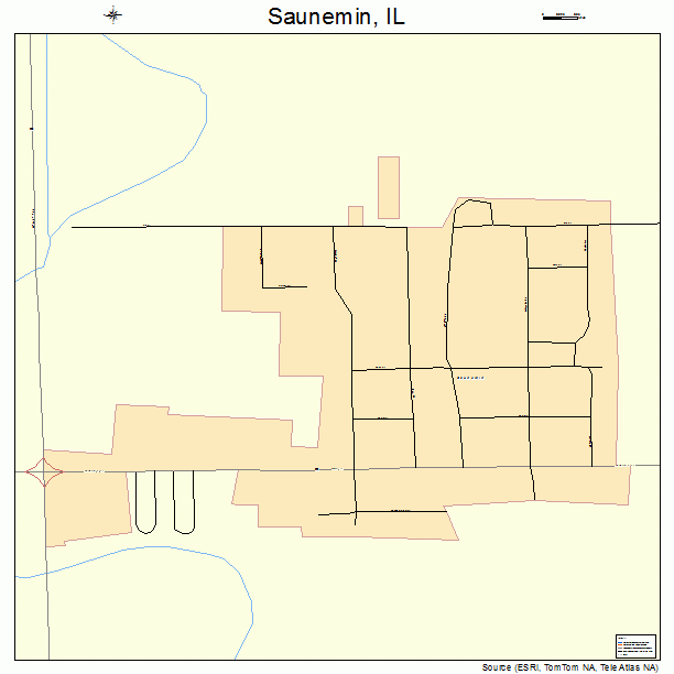 Saunemin, IL street map