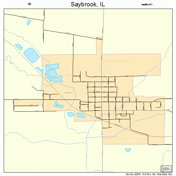 Saybrook, IL street map