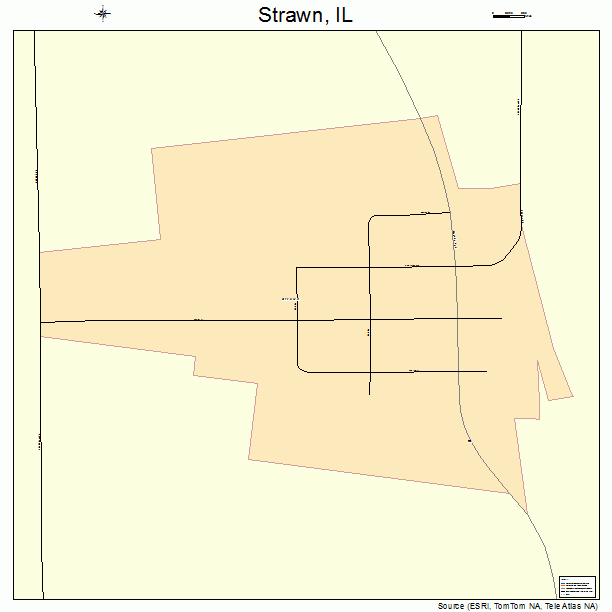 Strawn, IL street map