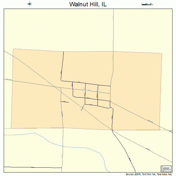 Walnut Hill, IL street map