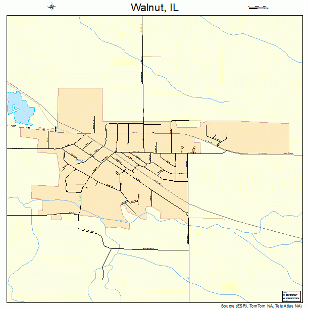 Walnut, IL street map