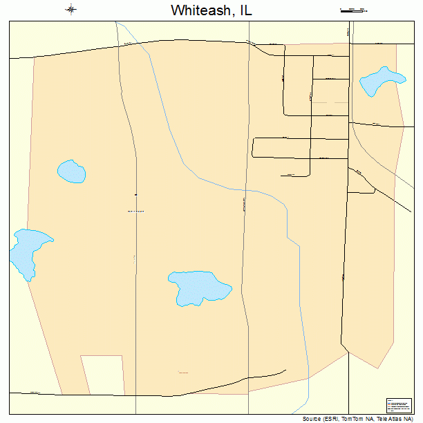Whiteash, IL street map
