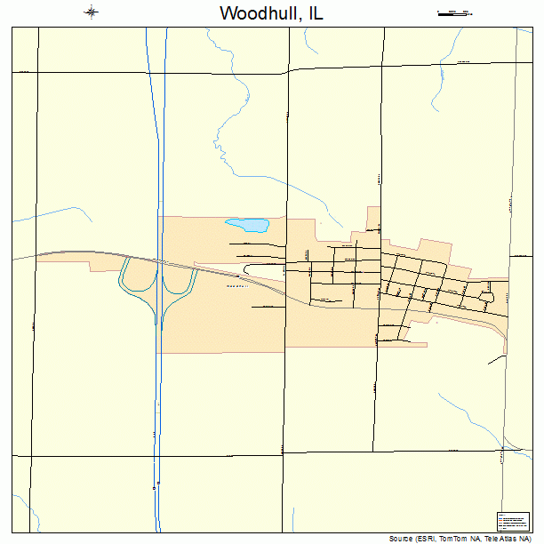 Woodhull, IL street map