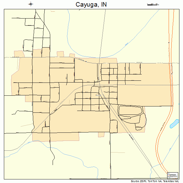 Cayuga, IN street map