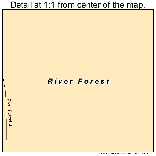 River Forest, Indiana road map detail