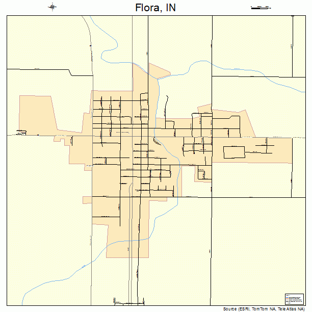 Flora, IN street map