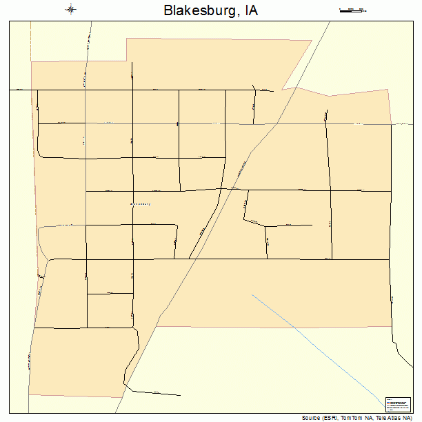Blakesburg, IA street map