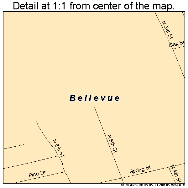 Bellevue, Iowa road map detail