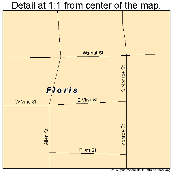Floris, Iowa road map detail