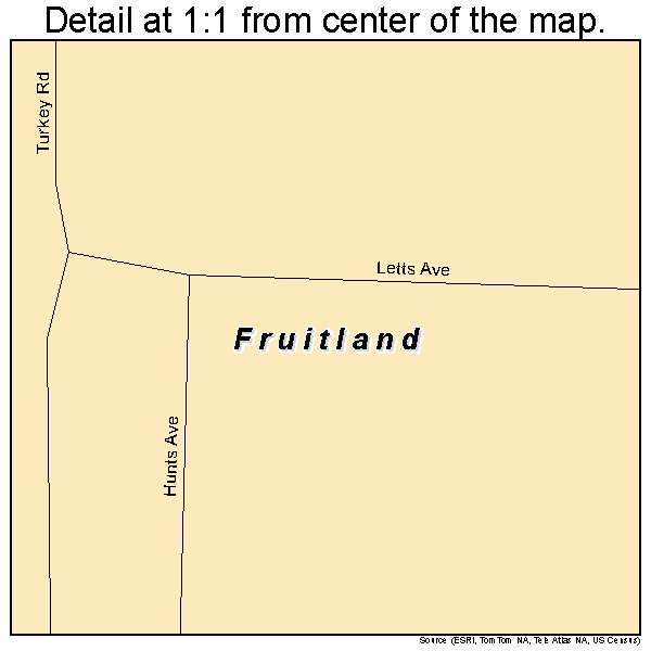 Fruitland, Iowa road map detail