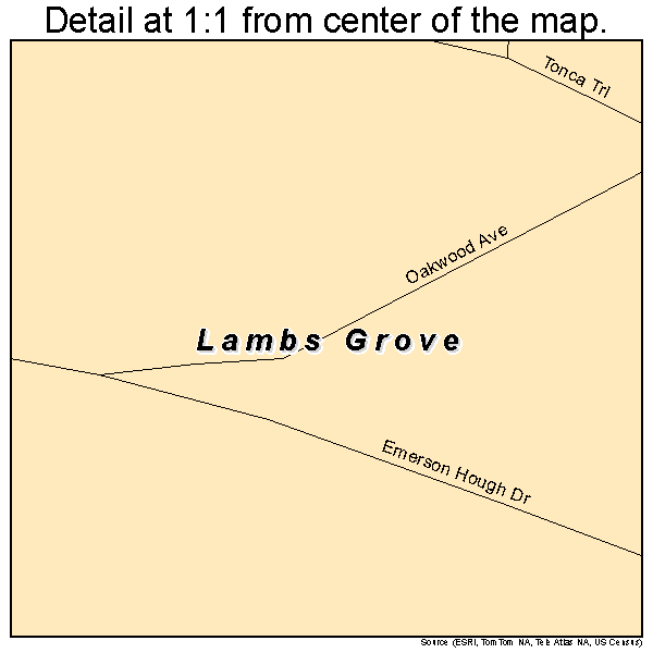 Lambs Grove, Iowa road map detail