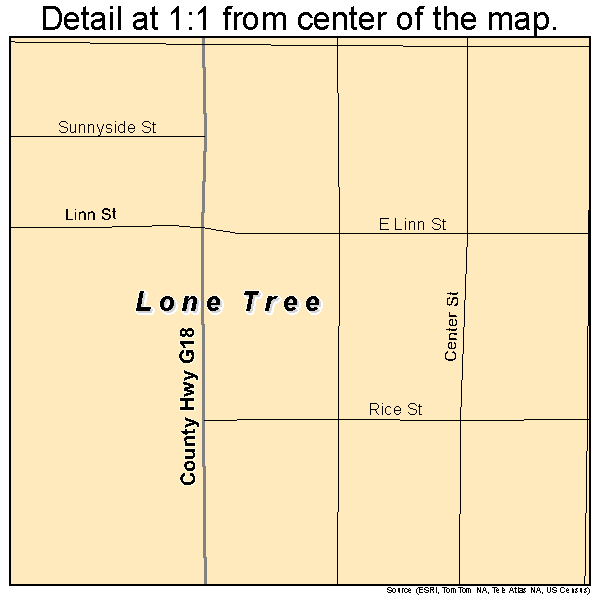 Lone Tree, Iowa road map detail