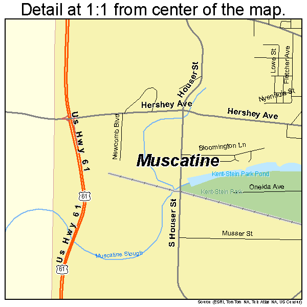 Muscatine, Iowa road map detail
