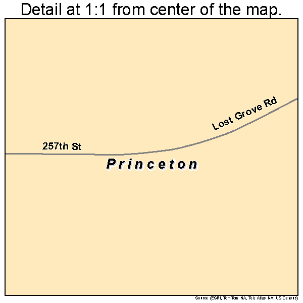 Princeton, Iowa road map detail