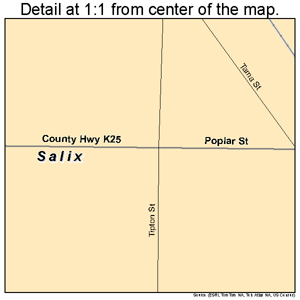 Salix, Iowa road map detail