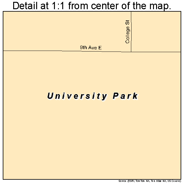 University Park, Iowa road map detail