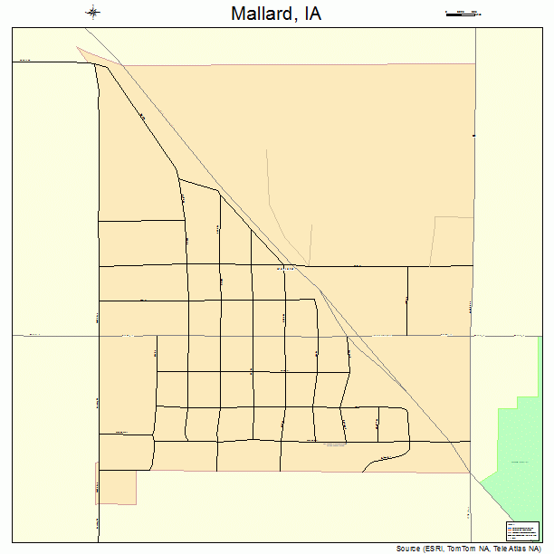 Mallard, IA street map