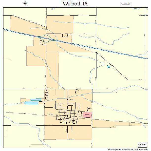 Walcott, IA street map