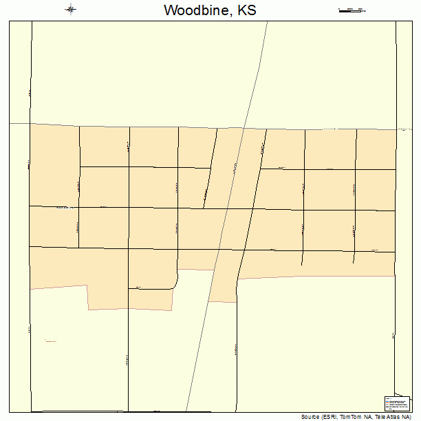 Woodbine, KS street map