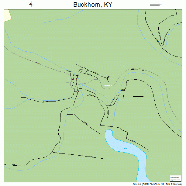 Buckhorn, KY street map